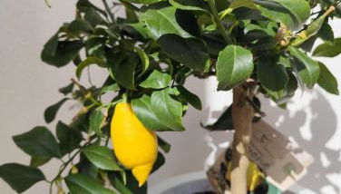 La pause bretonne - Foto 2