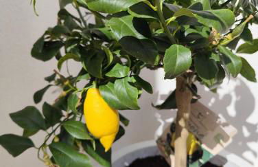 La pause bretonne - Foto 2