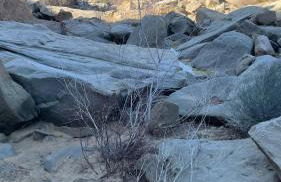 Alojamientos La Alberca - Foto 62