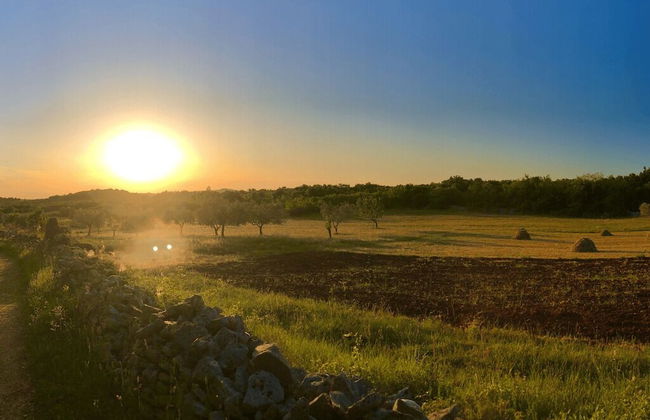 Room in Studio - Enchanting Escapade in Krsuli - Foto 10
