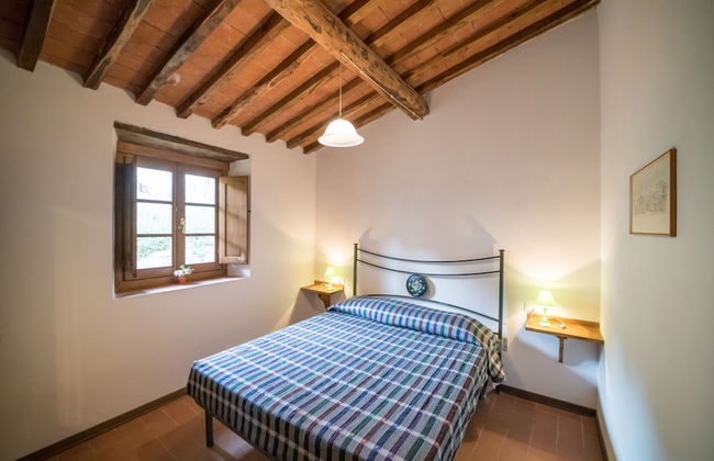 Fattoria di Cintoia - Photo 6