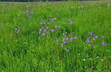 Reset w górach - Foto 27