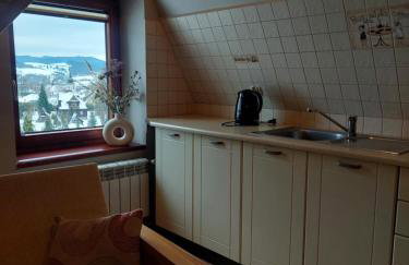 Willa Przekop - apartamenty - Foto 3