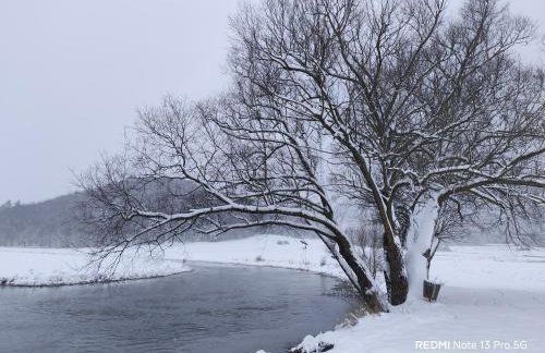 Apartman Mali raj - Foto 74