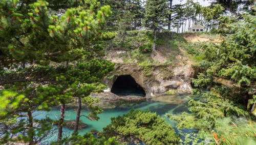 A Whale's Walk - Mariner 2 - Foto 4