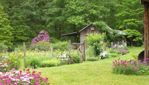 Garden of Eden Cabins - Photo 2