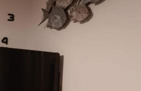 A Cà; Gialla - Foto 8