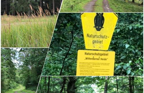 Noorden Stuuv - Foto 29