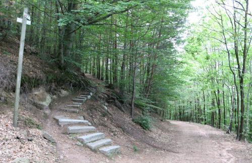 Meublé Celtic - Foto 13