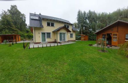 Muschel am Strand - Foto 5