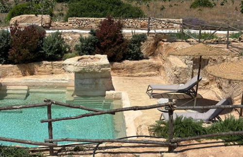 FICOMORO FARM - Foto 9