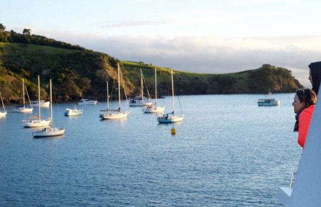 Waiheke Walk-up Ferry Service to Waiheke Island from Auckland (Return) - Foto 2