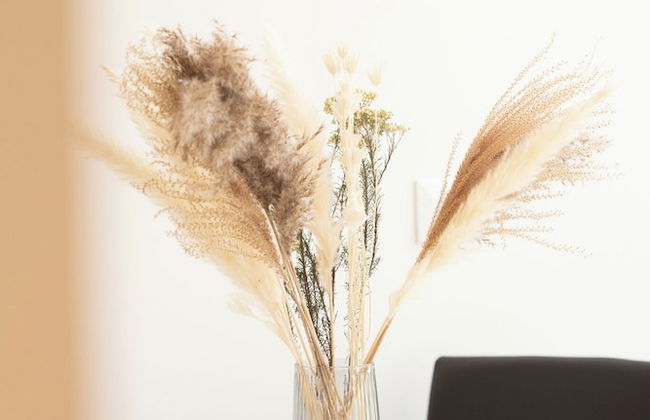 PORT CITY HAIFA- Authentic German Colony - Photo 3