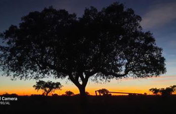 Casa Pitacas - Foto 43