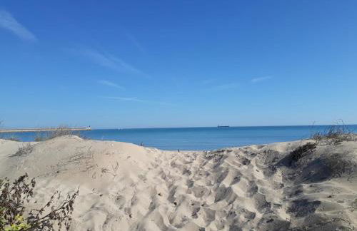 Exclusive Apartment - Playa de Marenys de Rafalcaid - Photo 32