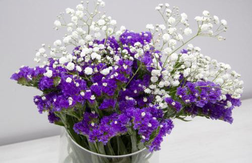 Apartment Sabioncello - Photo 21