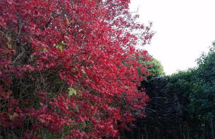 Loboratorio Rural-Cuenta hasta 3 - Foto 32