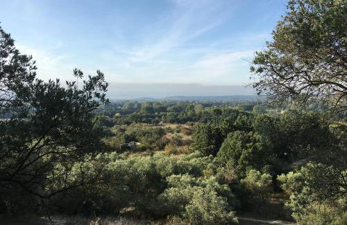 The Willow Tree - Photo 32