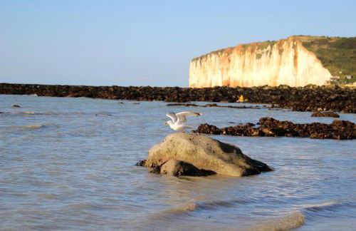 Villa Mathilde - Foto 34