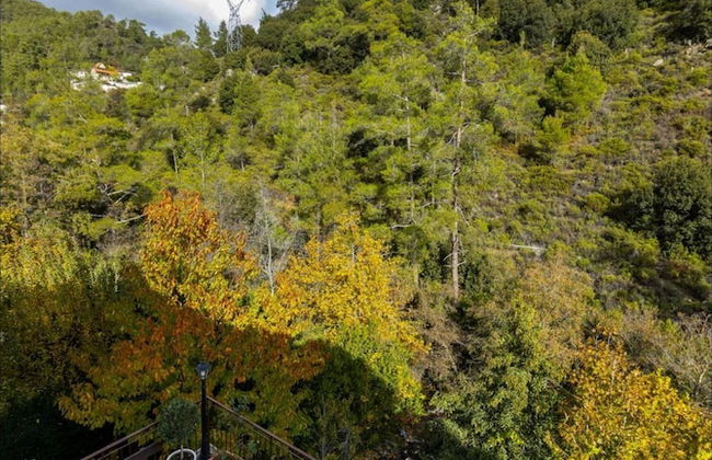 Troodos Riverside Cottage - Photo 13