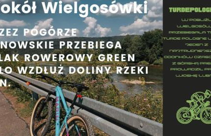 Wielgosówka - Foto 24