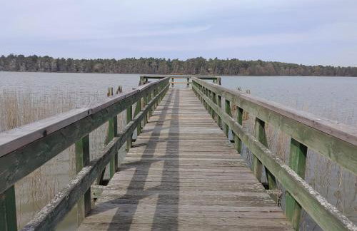 Greyówka dom kryty strzechą w Gardna Park - Foto 29