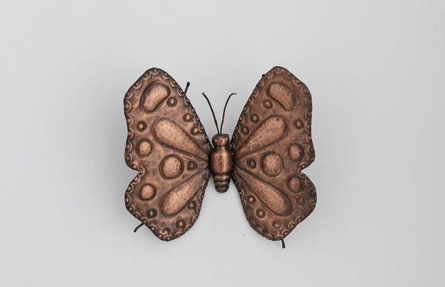 Rivazzurra A - Foto 37