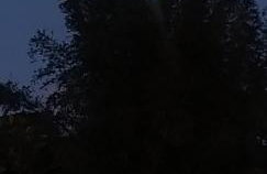 Varanda do Campeche - Foto 35