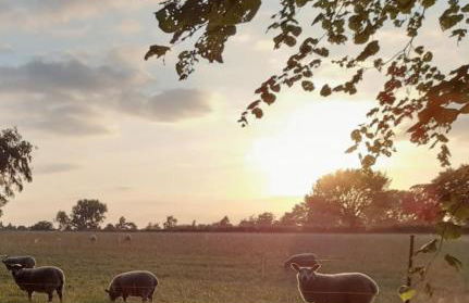 Evelith Manor Barns - Foto 18