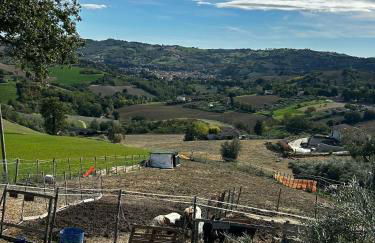 Casa degli Ulivi - Foto 37