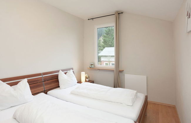 Holiday Home in Rechenberg Near Ski Area - Foto 6