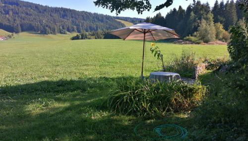 Neueröffnung, 2 wunderschöne Ferienwohnungen im Grünen - Foto 2, Garden