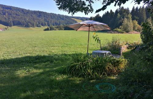 Neueröffnung, 2 wunderschöne Ferienwohnungen im Grünen - Foto 2