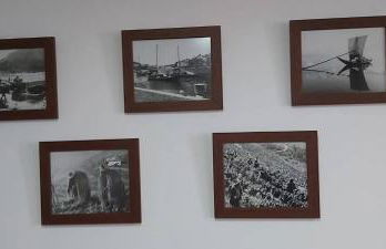 Casa do Jornaleiro - Douro - Foto 23