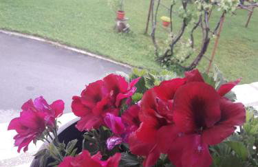 Apartment Gabi - Foto 35