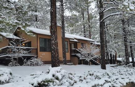 Kathys Cabin, King Bed, Hot Tub, Near-NAU & Downtown attractions, Perfect Year-Round Mountain Getaway - Photo 52