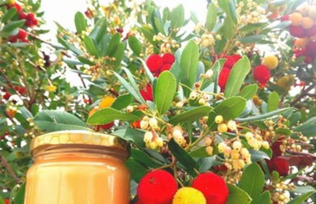 Le Dieci Querce - Foto 26