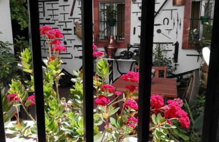 Casa Museo Jerez Centro - Foto 33