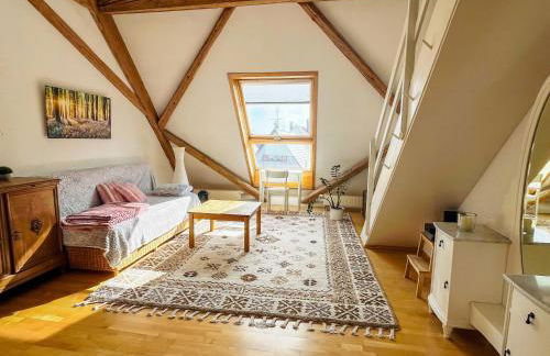 Apartment above the roofs of Biberach - Photo 6