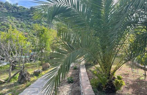 The Nook at Monda - Foto 20