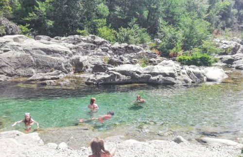 Chalet charmant à Saint-Jean-du-Gard - Foto 9