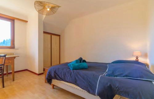 Insel Paradise - Foto 30