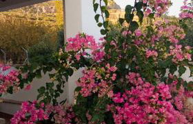 Casa Rubito el Olmo - Foto 57