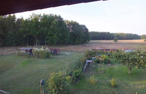 Ferienwohnung Waldblick - Foto 28