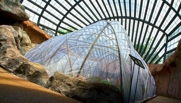 Half Day Botanical Garden And Butterfly Farm - Foto 3