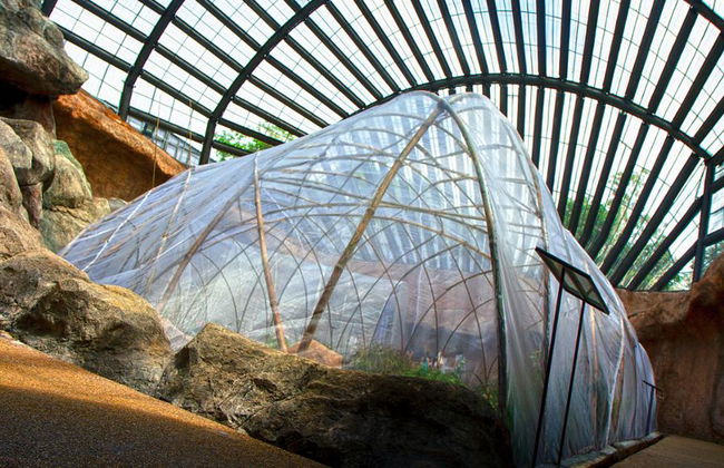 Half Day Botanical Garden And Butterfly Farm - Foto 3