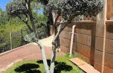 Villa Capllonch - Foto 7