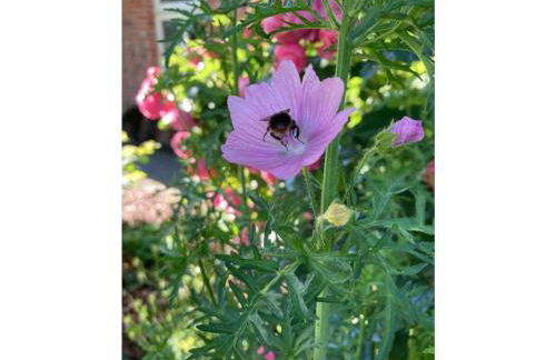 Holiday Apartment Nordnest - Foto 42