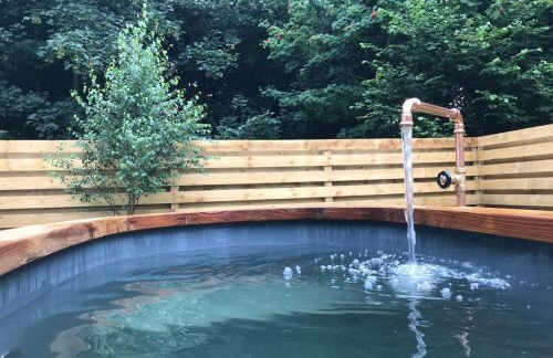 Cwtch Ffynnone Luxury Shepherds Hut - Foto 9