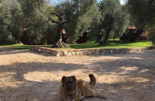 I Giardini Di Margius - Foto 77